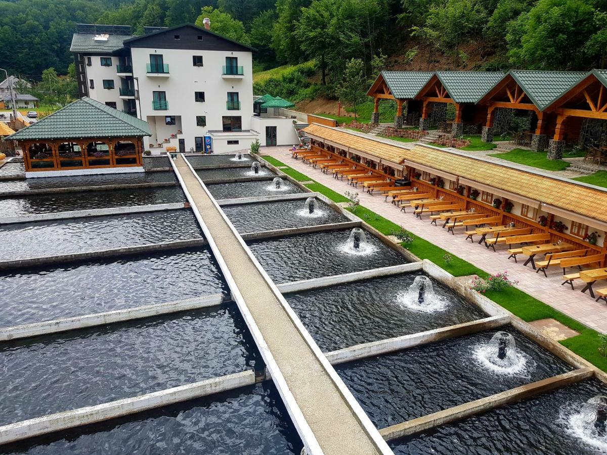 Lostrita - Pastravarie, Hotel & Spa Бая-Маре Экстерьер фото